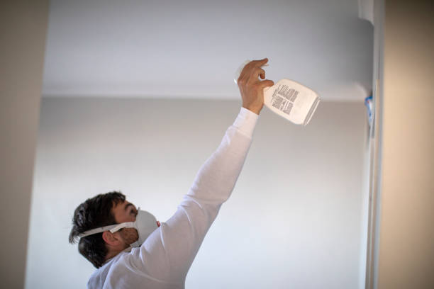 Best Toxic Mold Removal  in Madrid, IA