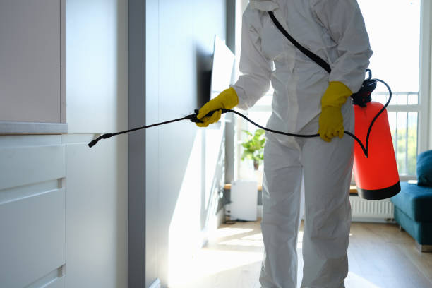 Best Residential Mold Removal  in Madrid, IA