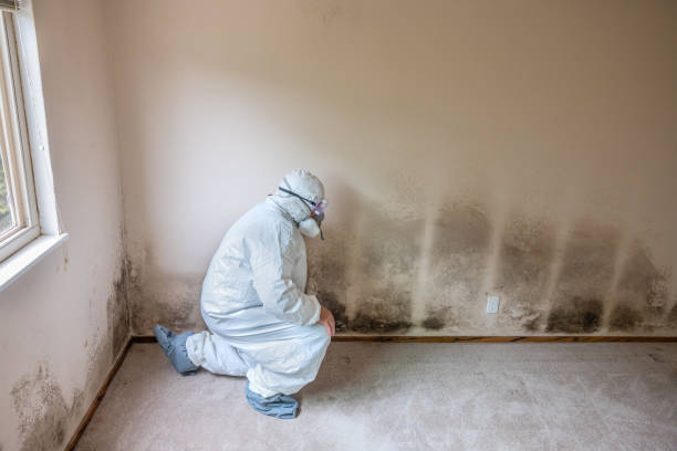 Best Crawl Space Mold Removal  in Madrid, IA